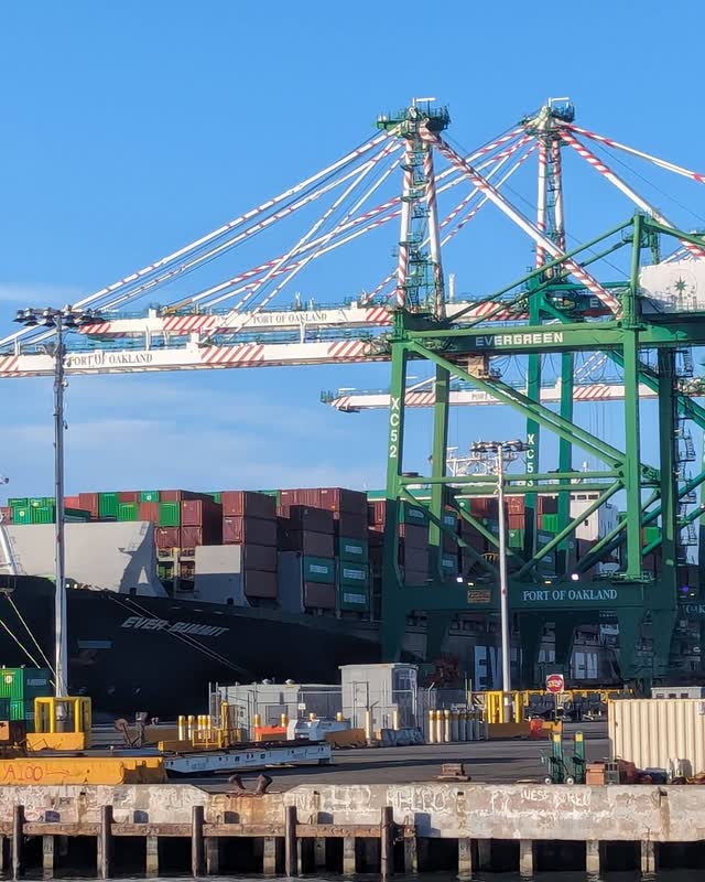 Gantry cranes lettered Port of Oakland standing over a container ship.